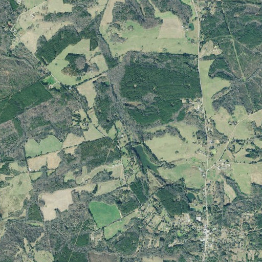 Aerial imagery of Pole Branch, GA