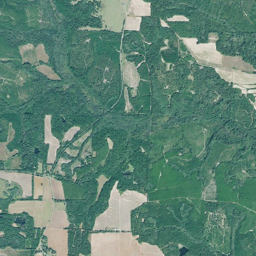 Aerial imagery of Pool Branch, GA