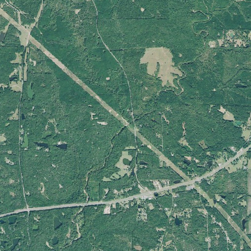Aerial imagery of Riley Branch, GA