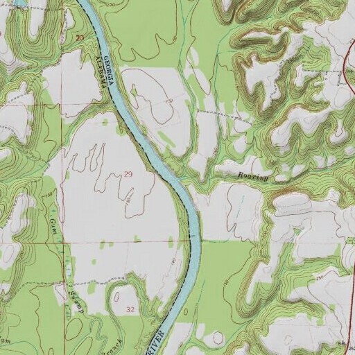 USGS 24K topo map of Roaring Branch, GA