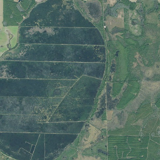 Aerial imagery of Roundabout Swamp, GA