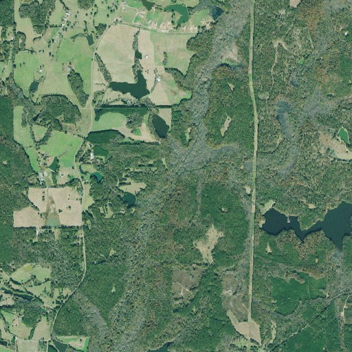 Aerial imagery of Sandy Creek, GA