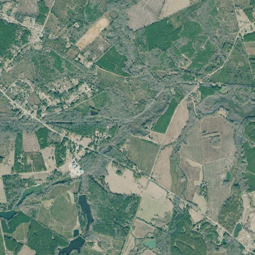 Aerial imagery of Scott Branch, GA