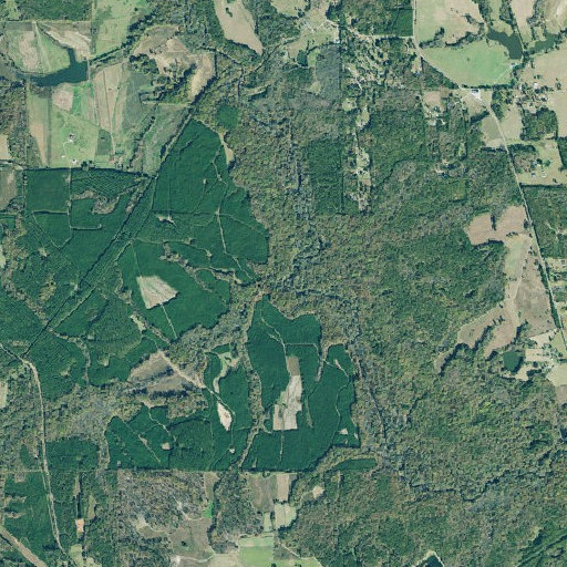 Aerial imagery of Shoals Creek, GA