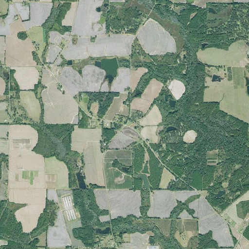 Aerial imagery of Spence, GA