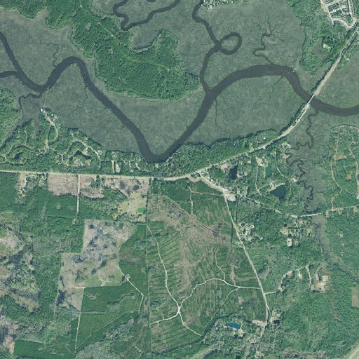 Aerial imagery of Spring Bluff, GA