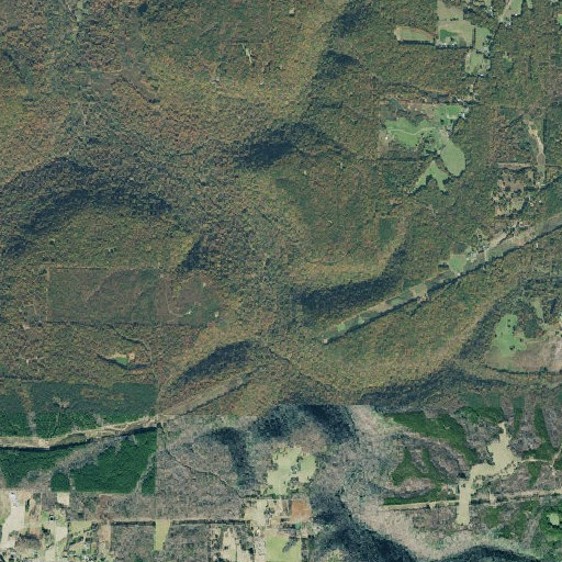 Aerial imagery of Squirrel Tail Gulf, GA