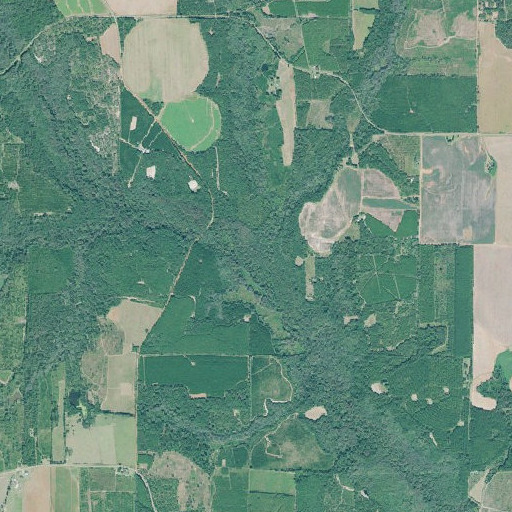 Aerial imagery of Taylor Branch, GA