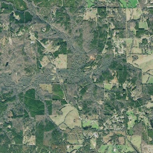 Aerial imagery of Thomasson Creek, GA