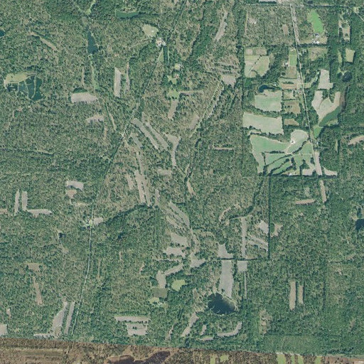 Aerial imagery of Titi Branch, GA