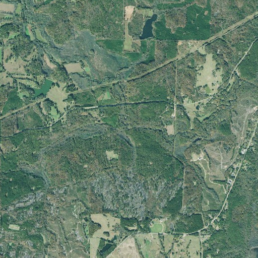 Aerial imagery of Tolieson Branch, GA