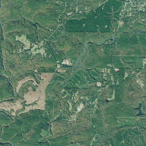 Aerial imagery of Town Branch, GA
