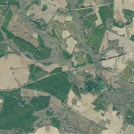 Aerial imagery of Turner Branch, GA