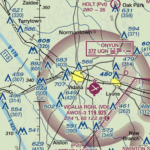 FAA VFR chart of Vidalia School, GA