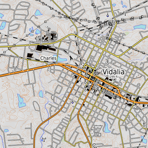 OpenTopoMap map of Vidalia School, GA