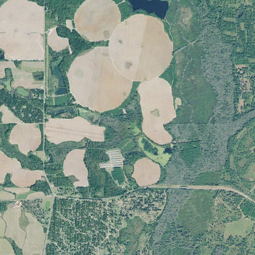 Aerial imagery of Vincey Branch, GA