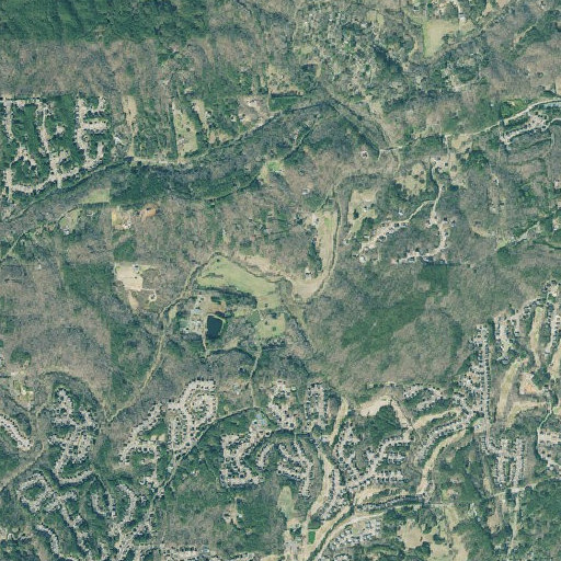 Aerial imagery of Westbrook Creek, GA