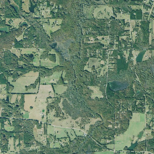 Aerial imagery of Wildcat Creek, GA