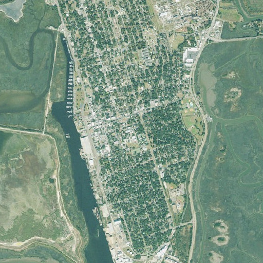 Aerial imagery of Wolf High School, GA