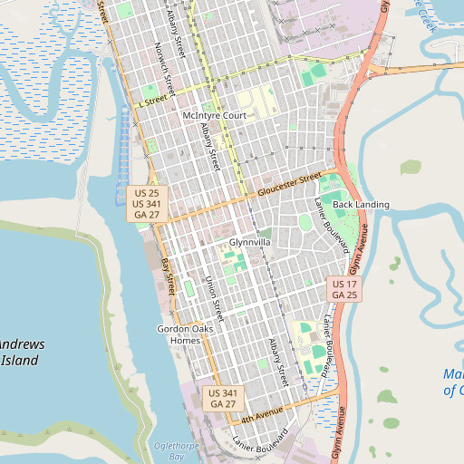 OpenStreetMap map of Wolf High School, GA