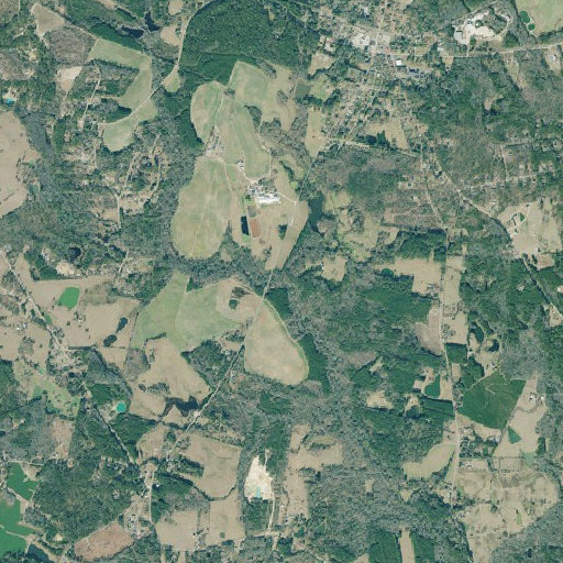 Aerial imagery of Dearing Branch, GA