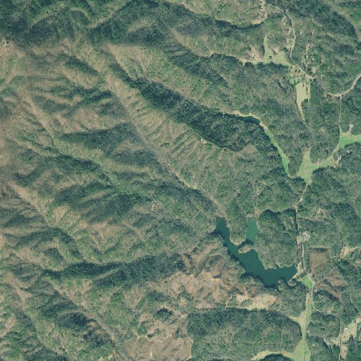 Aerial imagery of Buzzard Roost Creek, GA