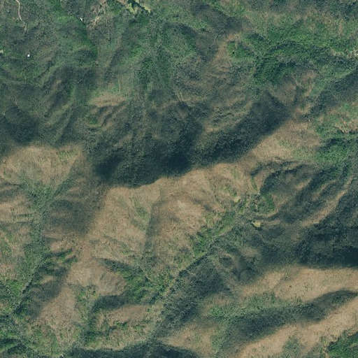 Aerial imagery of Akin Mountain, GA