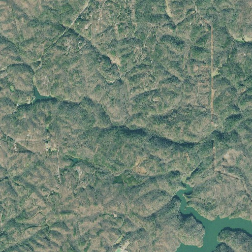 Aerial imagery of Banks Branch, GA