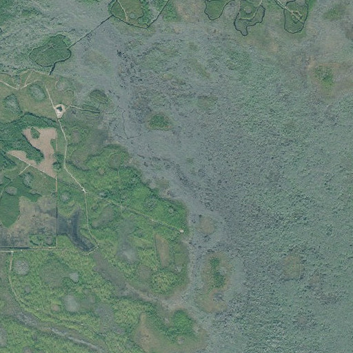 Aerial imagery of Black River, GA