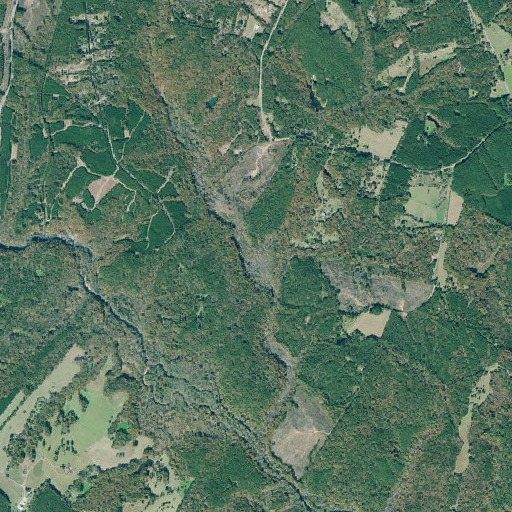 Aerial imagery of Buck Branch, GA