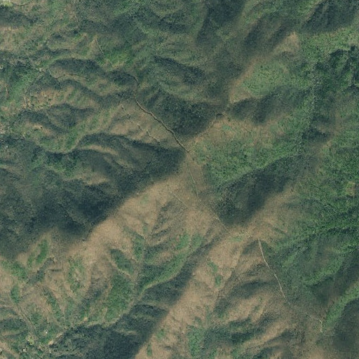 Aerial imagery of Buzzard Roost, GA