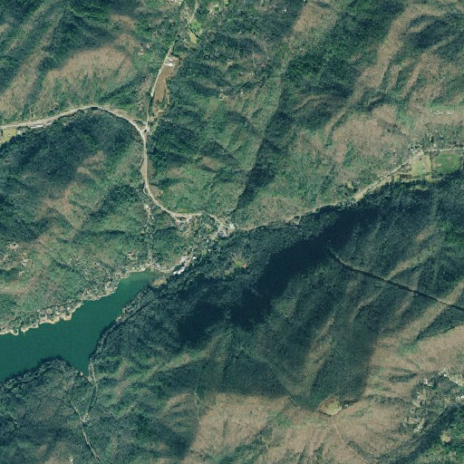 Aerial imagery of Canal Branch, GA