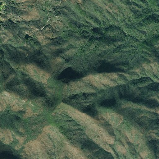 Aerial imagery of Chestnut Ridge, GA