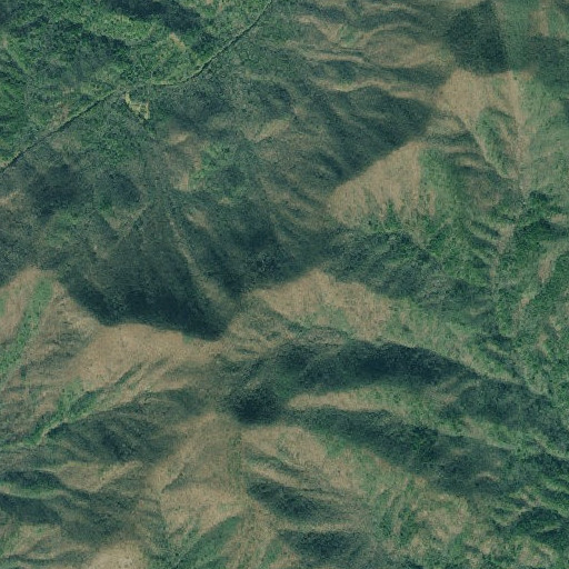 Aerial imagery of Cold Springs Gap, GA