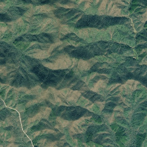 Aerial imagery of Cowart Gap, GA