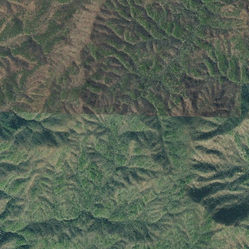 Aerial imagery of Dally Gap, GA