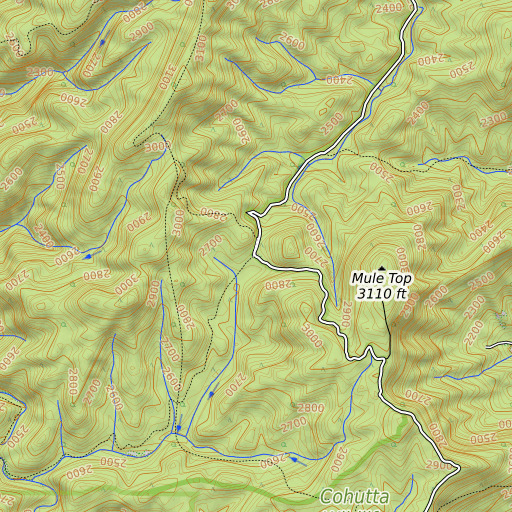 OpenTopoMap map of Dally Gap, GA