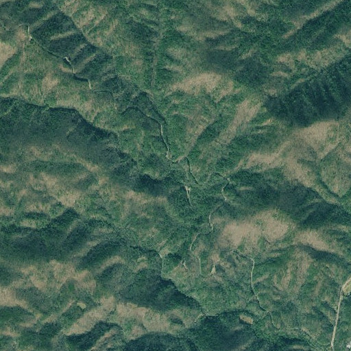 Aerial imagery of Dodd Creek, GA