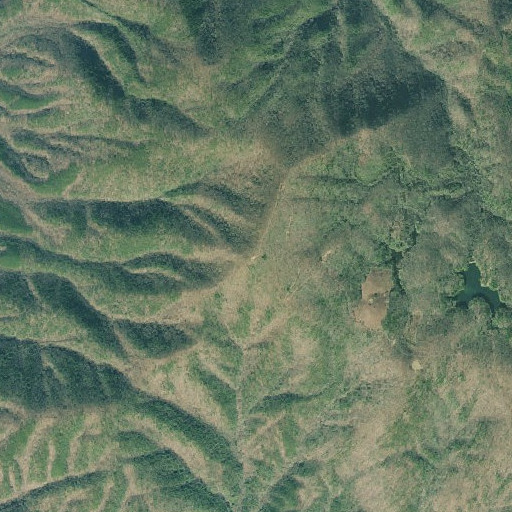 Aerial imagery of Grassy Mountain, GA