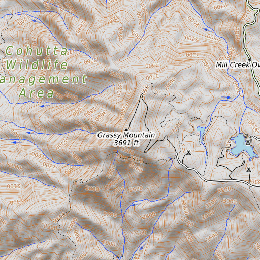 OpenTopoMap map of Grassy Mountain, GA