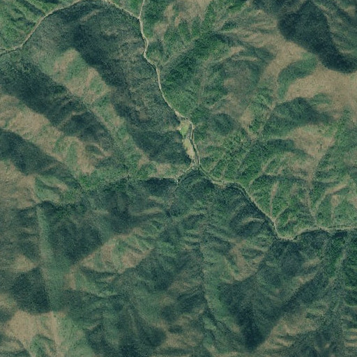 Aerial imagery of Gurley Creek, GA