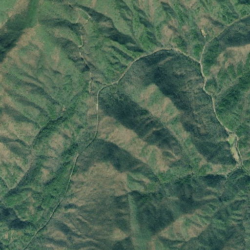 Aerial imagery of Henry Knob, GA