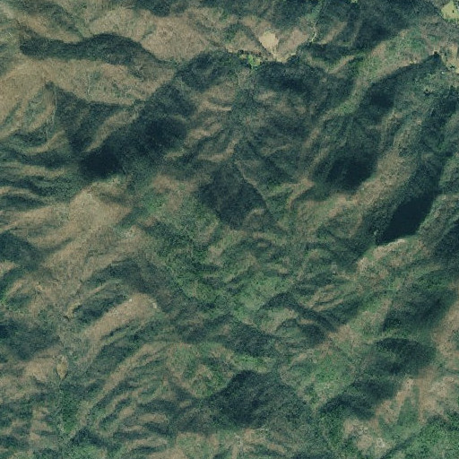 Aerial imagery of Joe Gap, GA