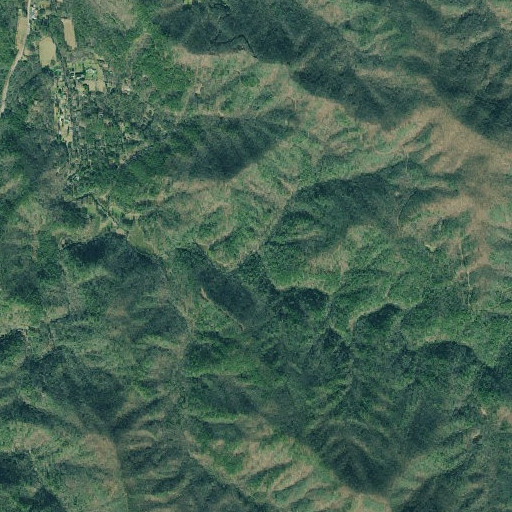 Aerial imagery of Kendall Branch, GA