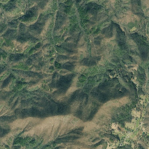 Aerial imagery of Locust Gap, GA