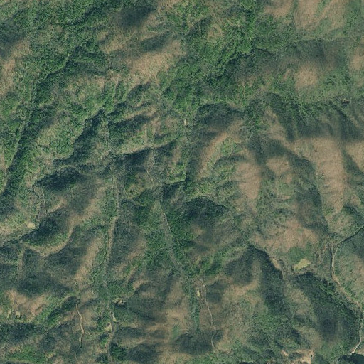 Aerial imagery of Logan Creek, GA