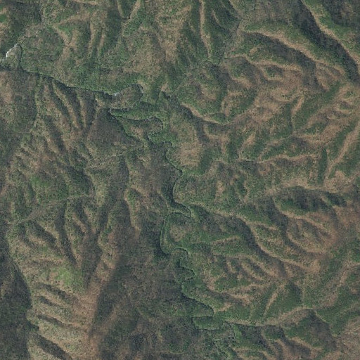 Aerial imagery of Lost Branch, GA