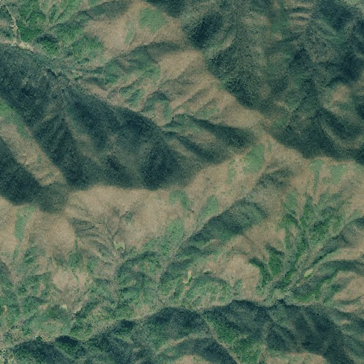 Aerial imagery of Lower Cynth Gap, GA