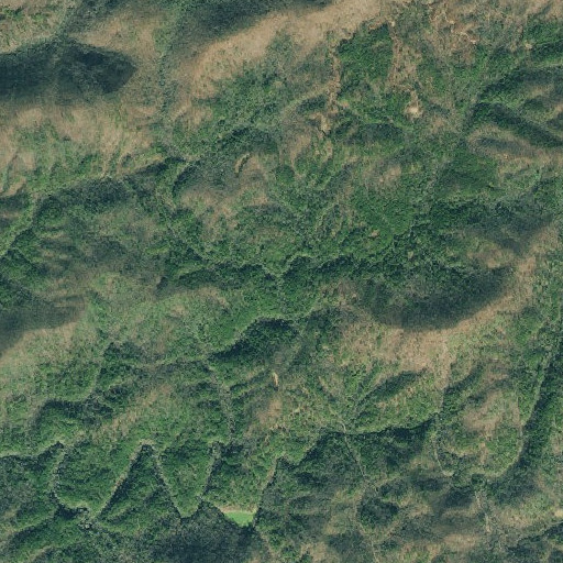 Aerial imagery of Pretty Branch, GA