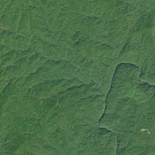 Aerial imagery of Razor Branch, GA